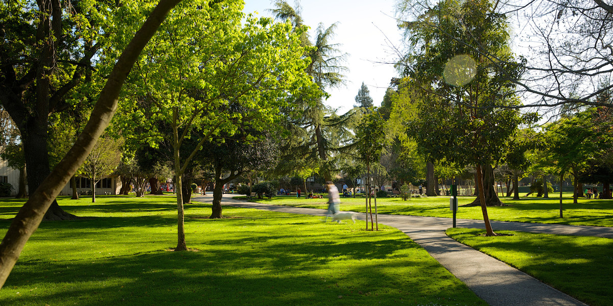 Living in Burlingame Burlingame Real Estate and Neighborhoods